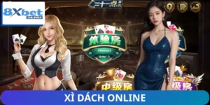 Xi dach online