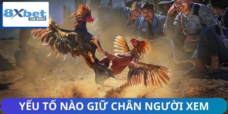 Những yếu tố góp phần giữ chân người xem