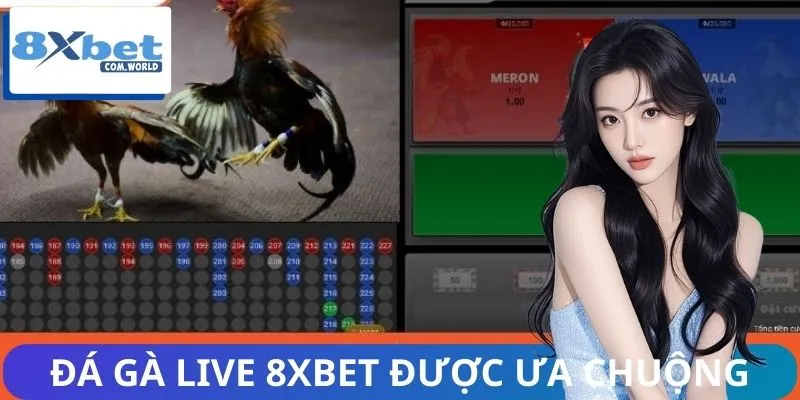 Vì Sao Đá Gà Live 8XBET Được Ưa Chuộng? Giải Đáp Ngay