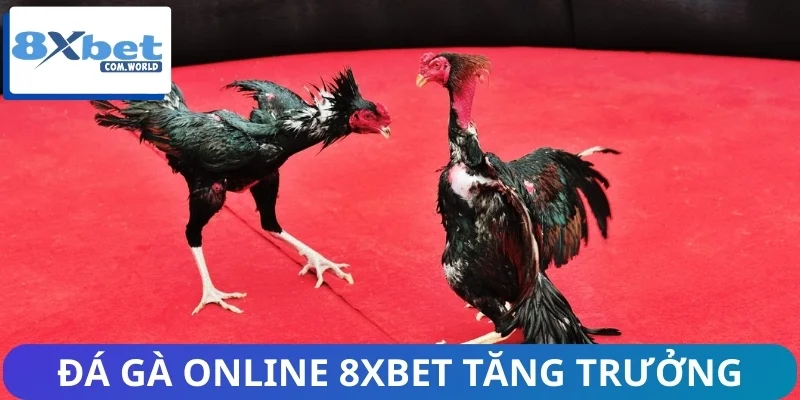 Thương hiệu 8XBET có tốc độ tăng trưởng mạnh