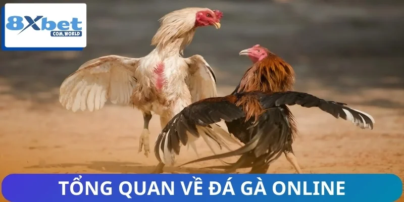 Sơ lược về thị trường đá gà online ngày nay