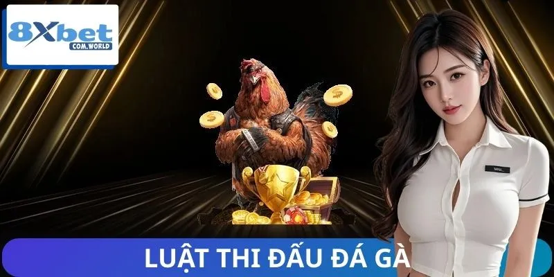 Những Thay Đổi Mới Trong Luật Thi Đấu Đá Gà 8XBET